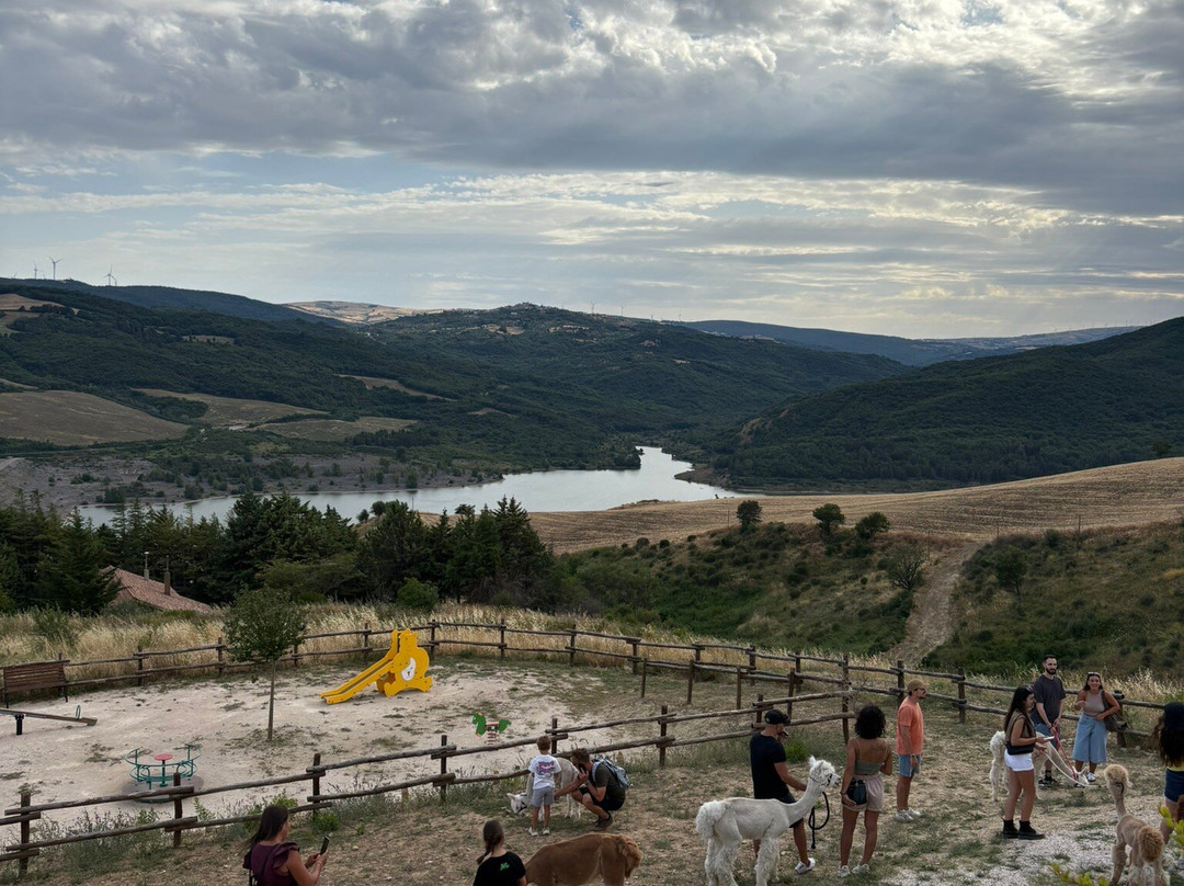 Basilicata Alpaca-Acerenza必去景点