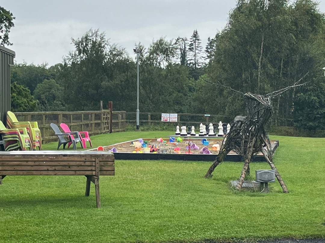 Mollie Moo's Pet Farm-Mullingar必去景点