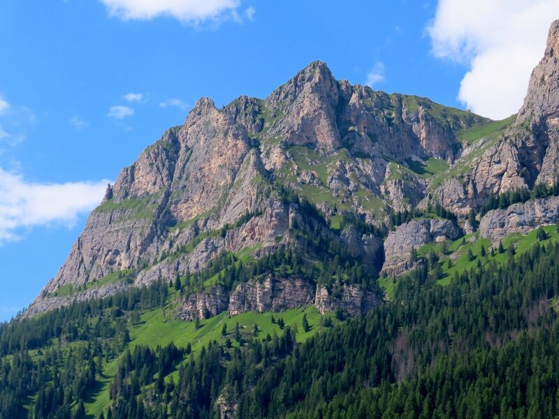 Monte Verdal-Selva di Cadore必去景点