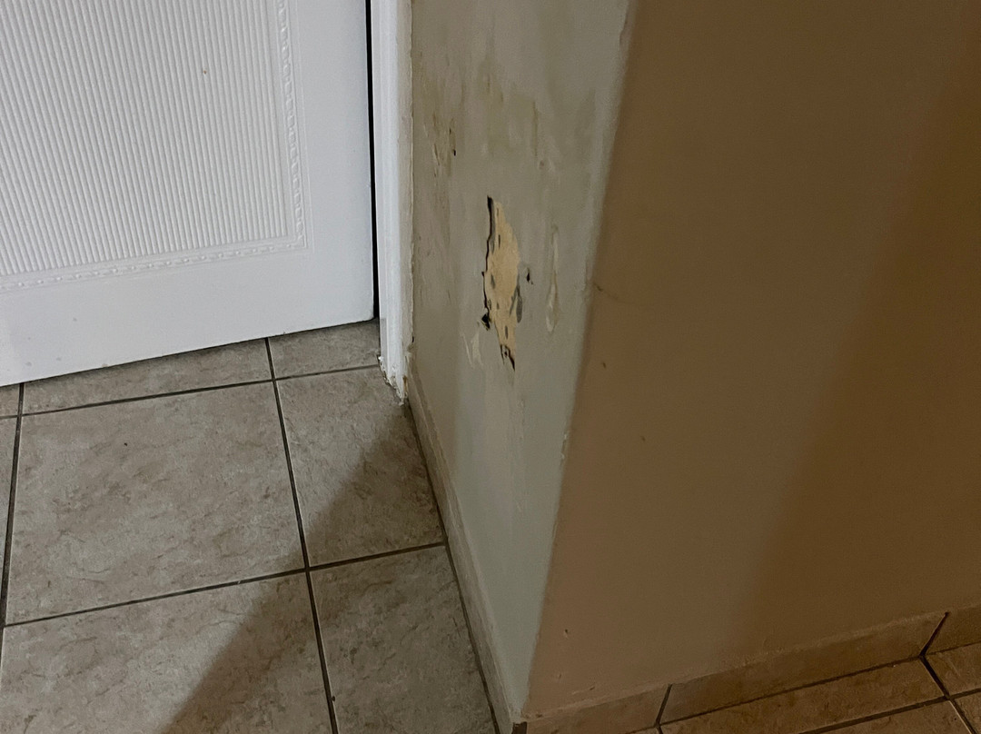 Midlands Saddle & Trout Resort主图