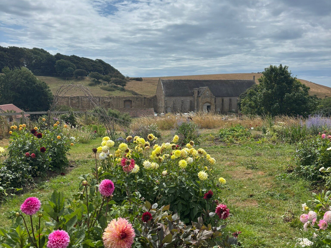 Abbey Farm Flowers-Abbotsbury必去景点