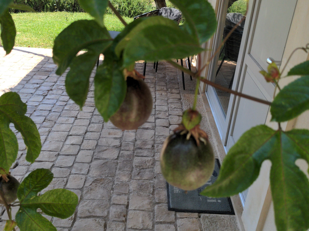 I Carusi Bio Relais主图