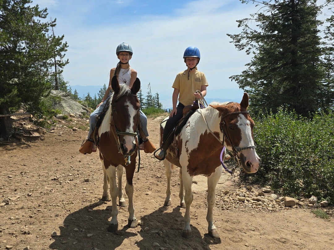 Mountain Horse Adventures-桑德波因特必去景点