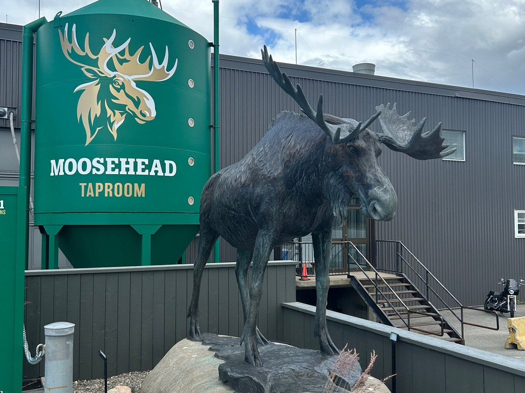 Moosehead Breweries-圣约翰必去景点