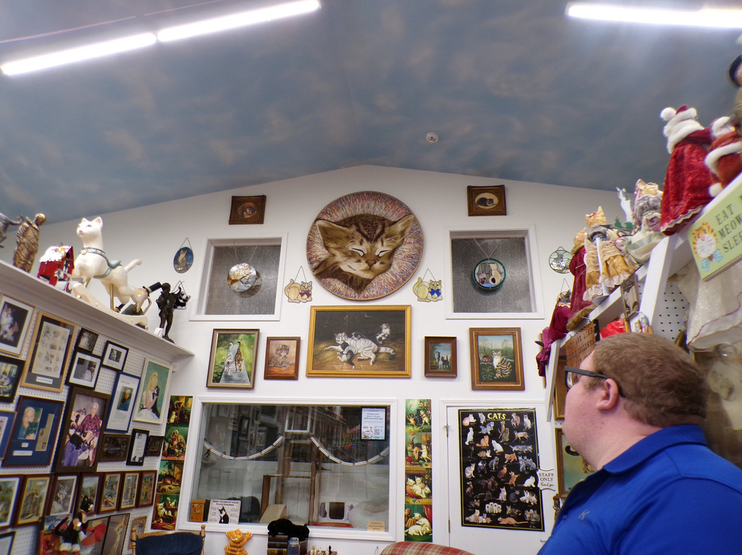 The American Museum of the House Cat-Sylva必去景点