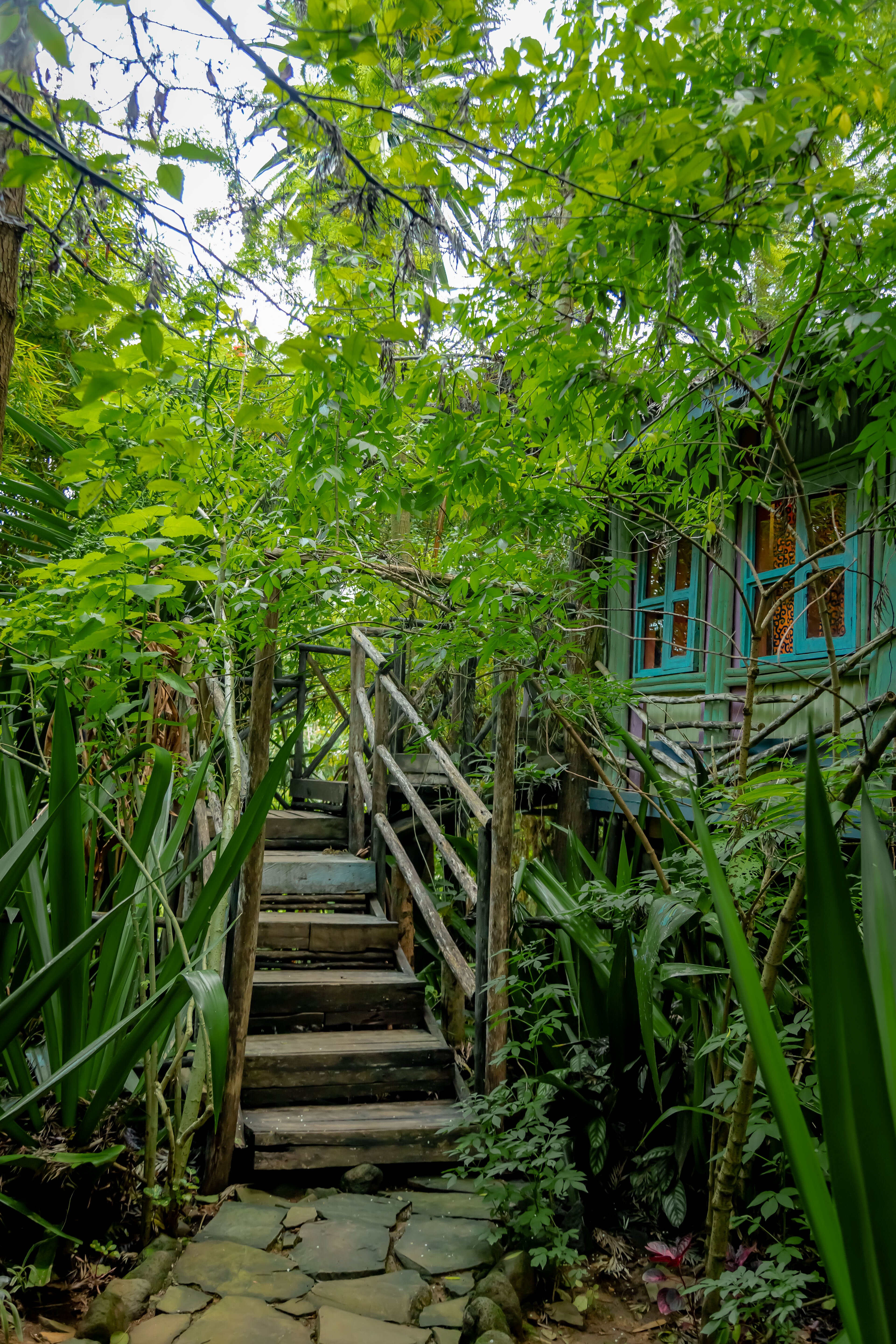 Fravan Eco Resort-酒店景观