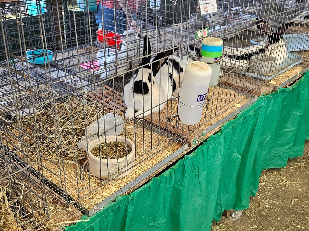 Harford County Farm Fair-Bel Air必去景点