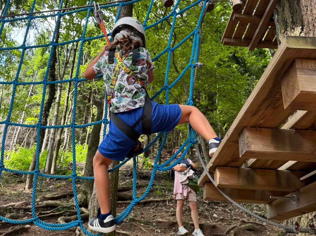 Jungle Raider Park-Albavilla必去景点