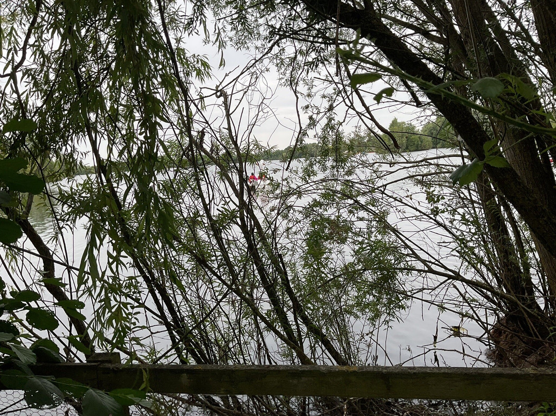 Cotswold Country Park & Beach-Shorncote必去景点