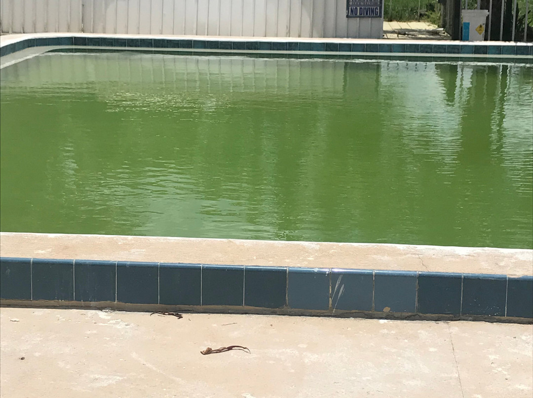 Warm Mineral Springs Motel主图