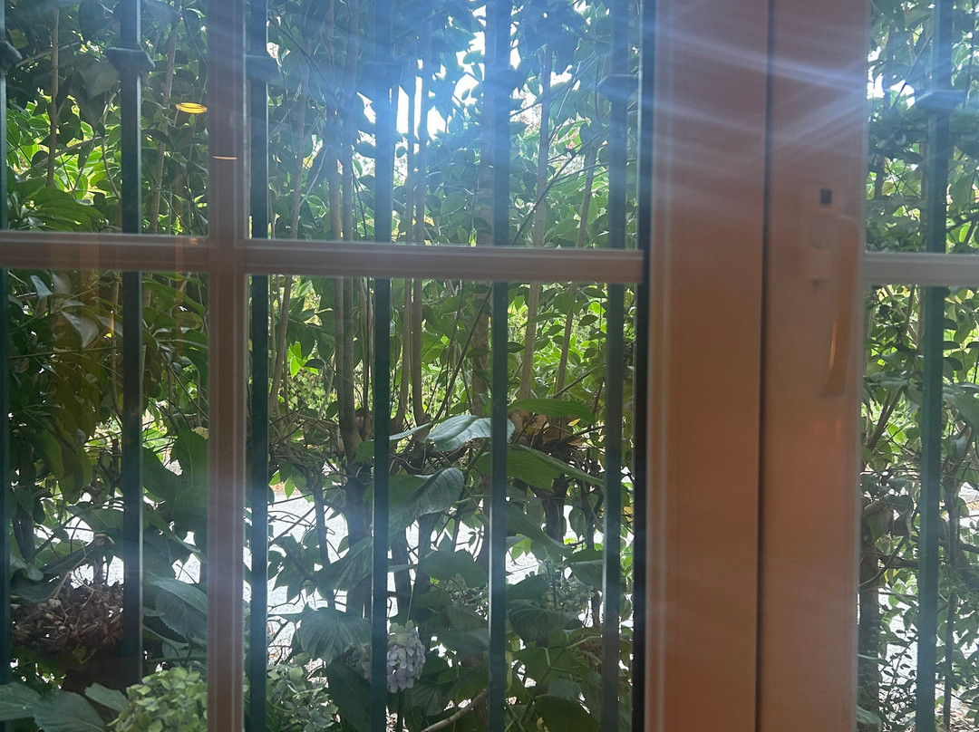 Hotel Termas da Curia主图