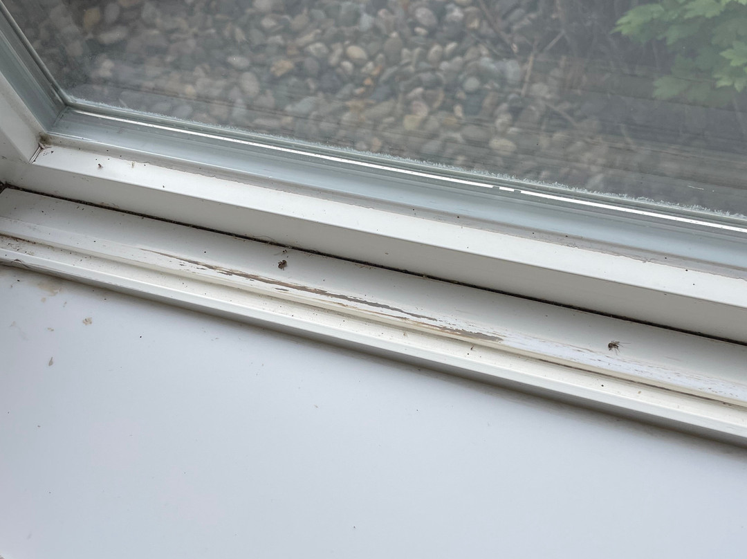 Best Western Plus Riverfront Hotel And Suites主图