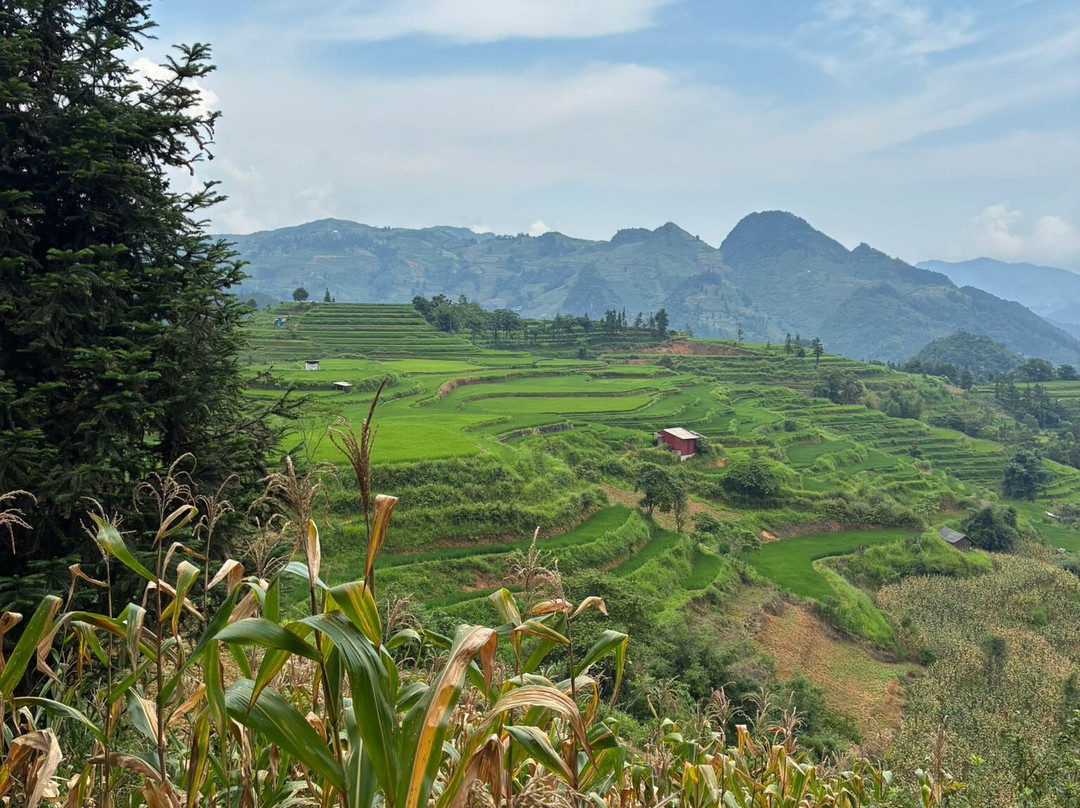 Pang Local Guide Bac Ha-Bac Ha必去景点