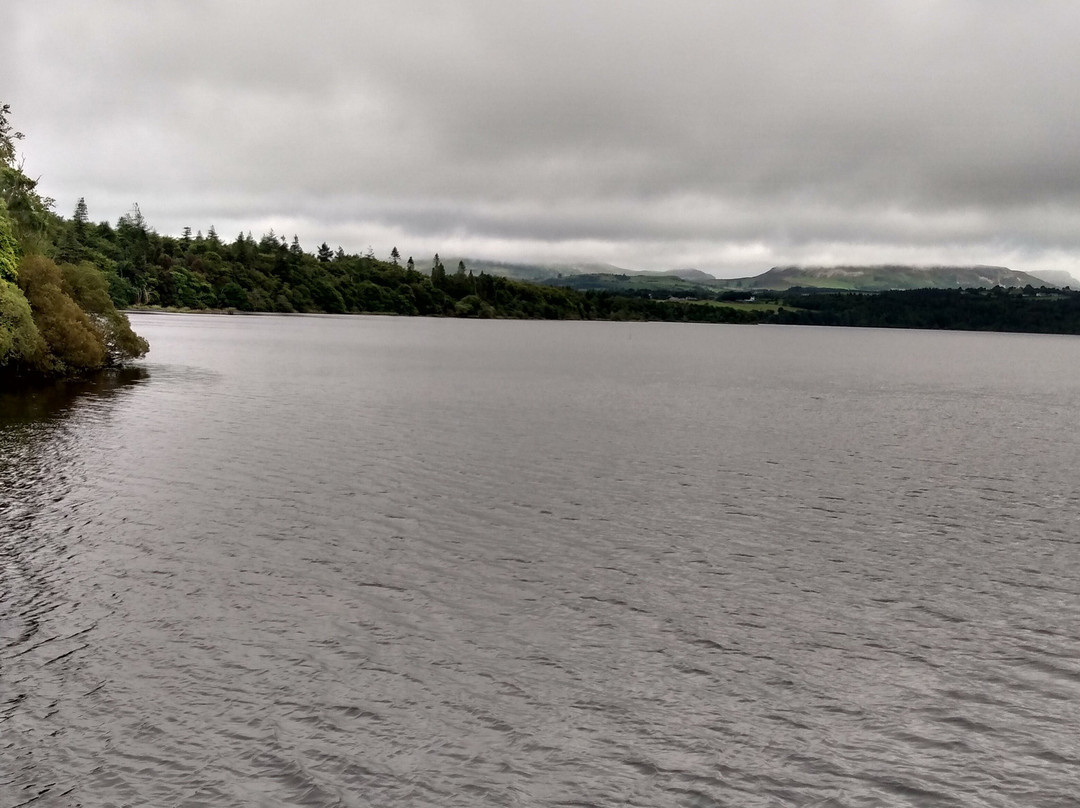 The Rose of Innisfree Tour Boat-斯莱戈必去景点