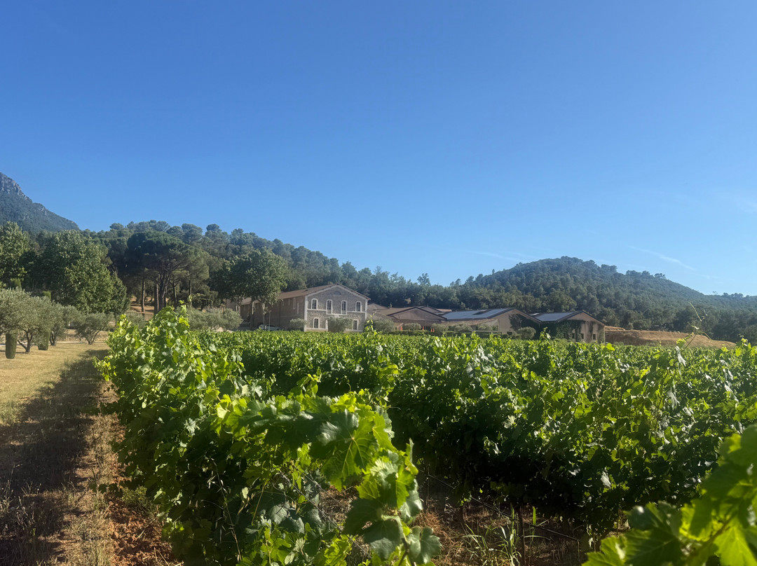 Château L'escarelle-La Celle必去景点