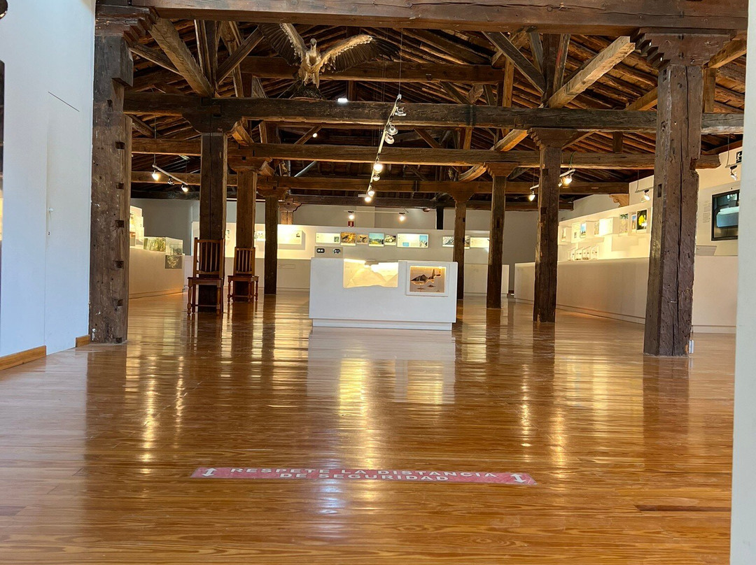 Ermita de San Bartolome-Ucero必去景点