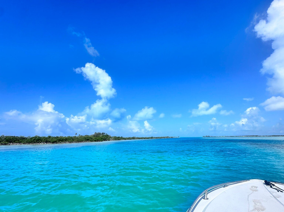 Bahamas Discovery Quest-长岛必去景点