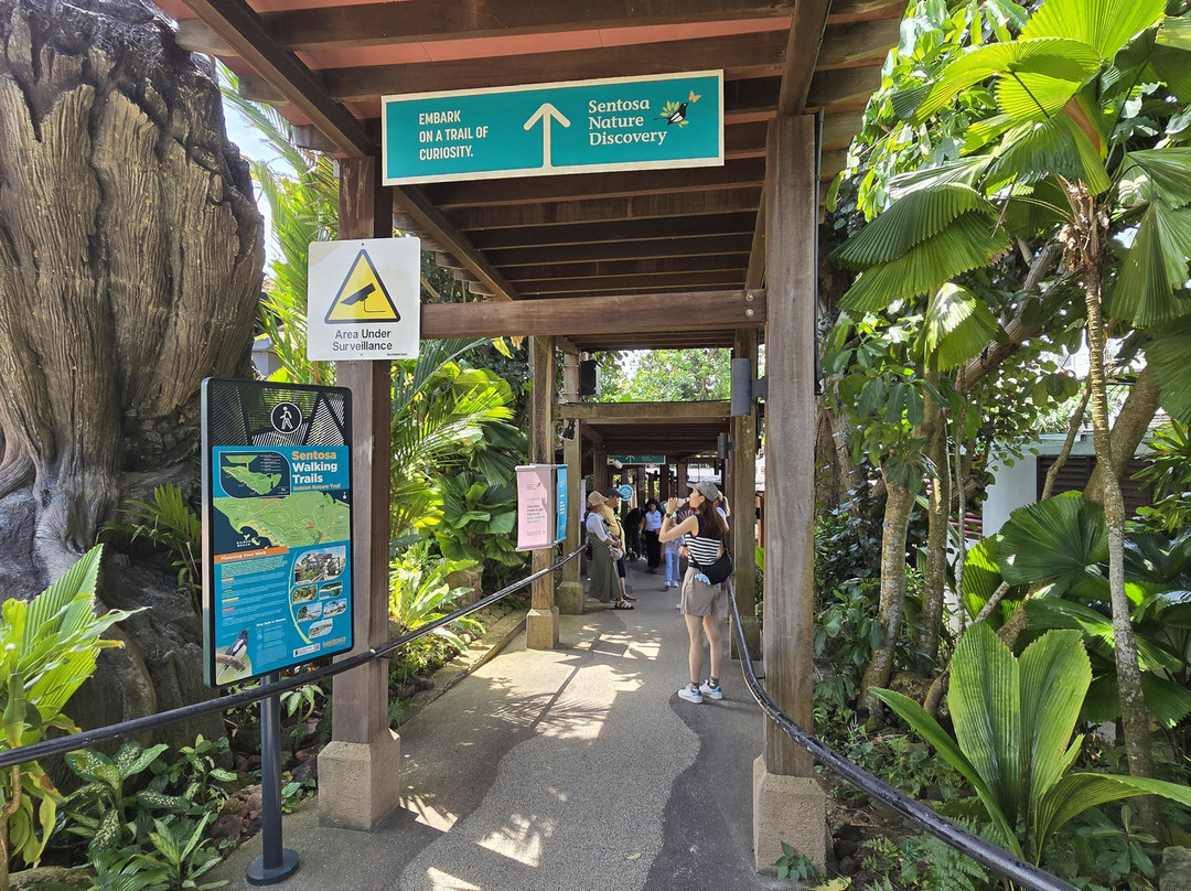 下畅游圣淘沙自然探索中心-圣淘沙岛必去景点