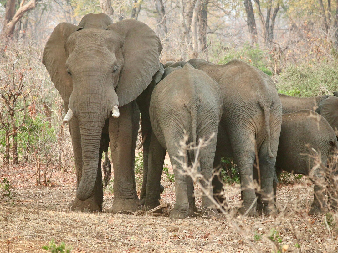 Nandzana Safaris-伐拉博瓦必去景点