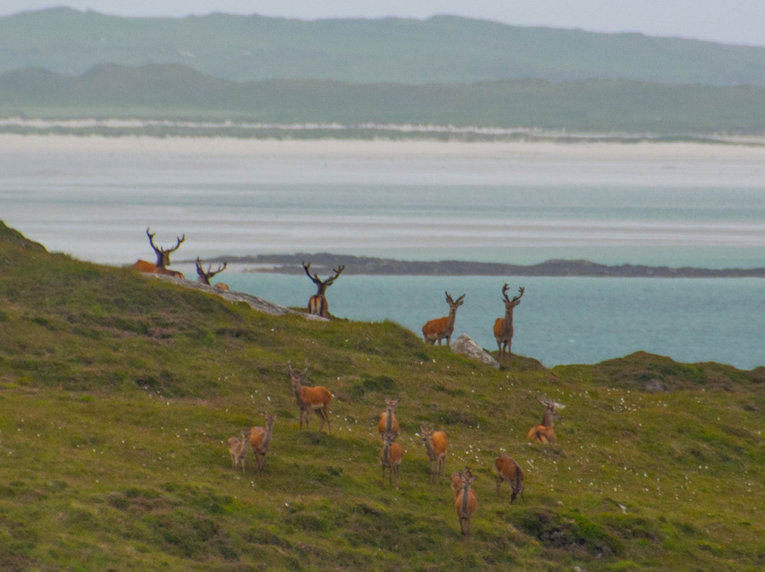 Hebridean Way-Vatersay必去景点