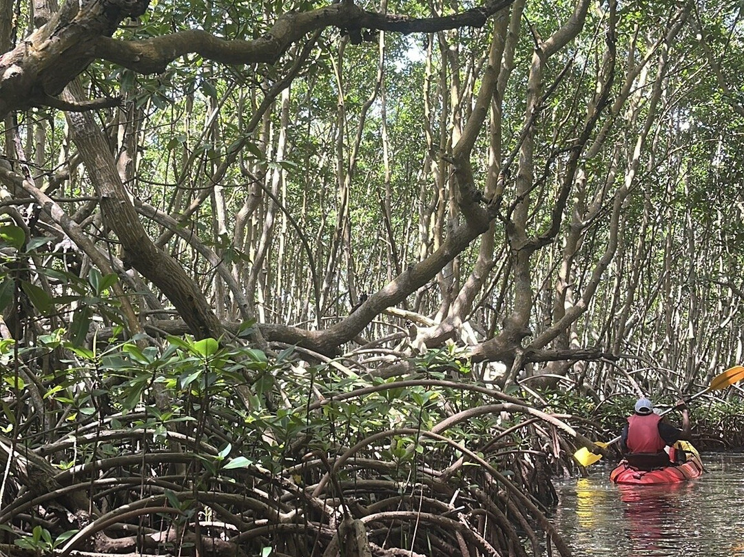 Yalodé Kayak Canyon Bain De Forêt-瓜德罗普岛必去景点