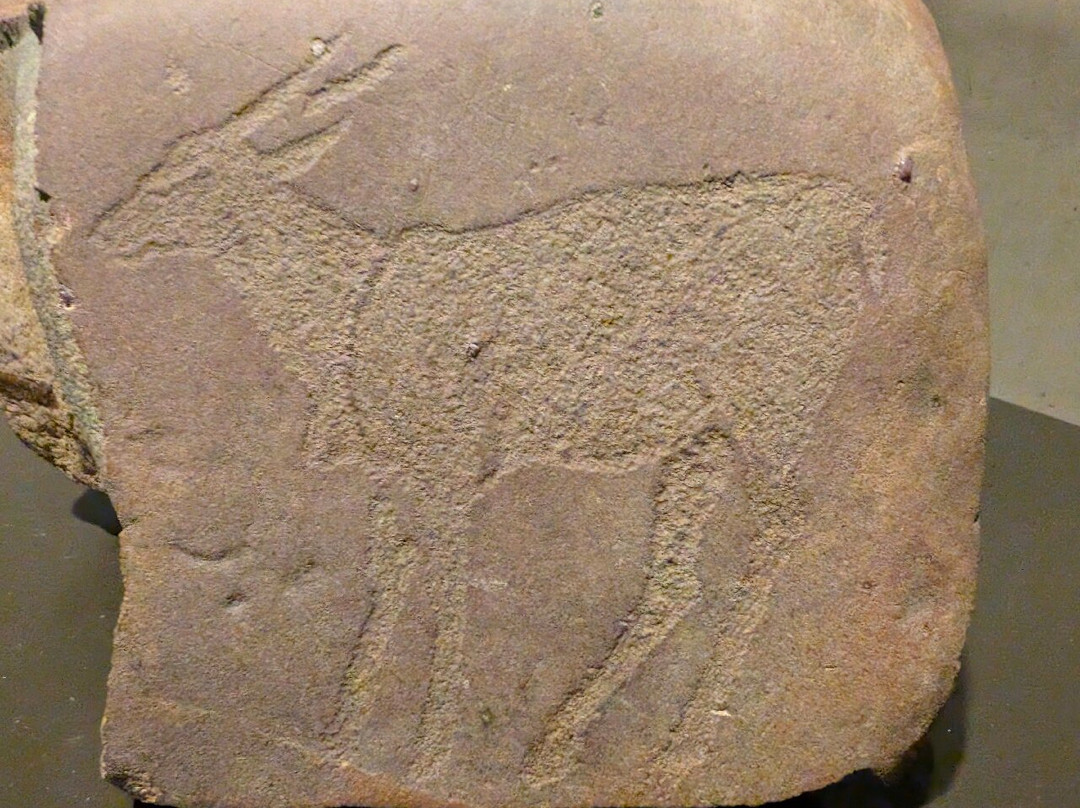 起源中心-约翰内斯堡必去景点