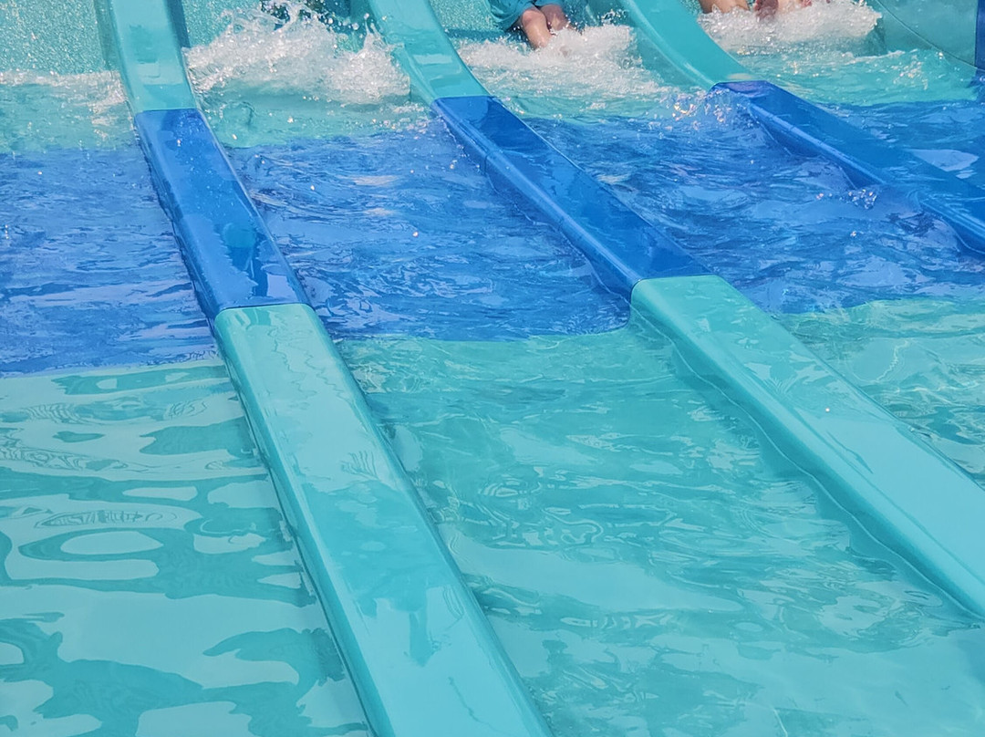 Santa's Village Amusement & Water Park-East Dundee必去景点