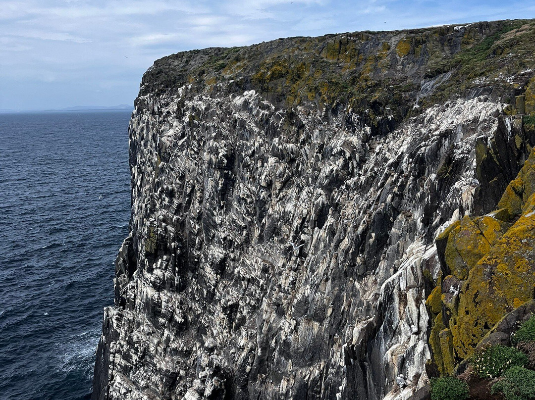 Anstruther Pleasure Cruises-Boat Day Tours-Anstruther必去景点