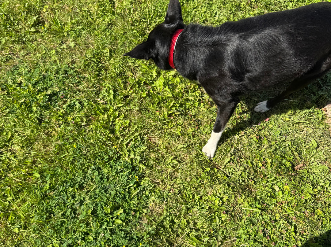 Kilmahon House Guest Accomodations主图