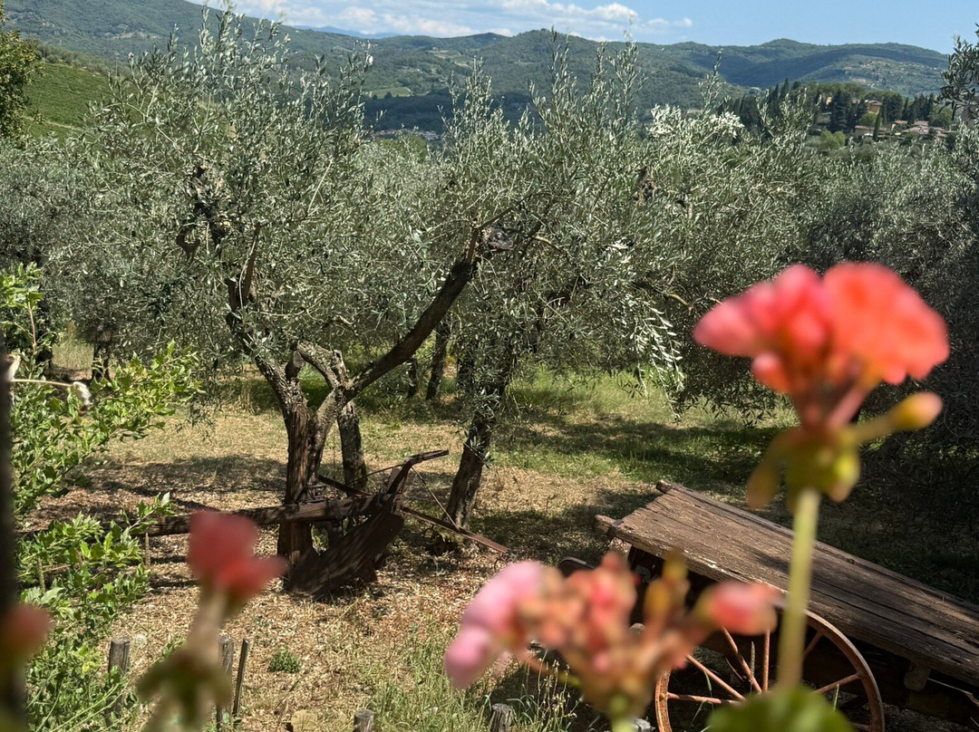 Podere Bucine Winery-格雷韦伊恩基亚恩蒂必去景点