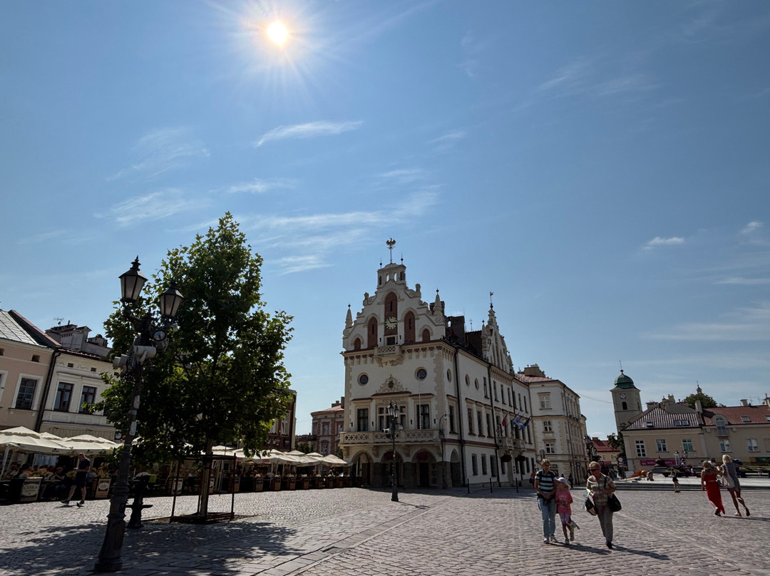 Ratusz Rzeszow (Town Hall in Rzeszow)-热舒夫必去景点