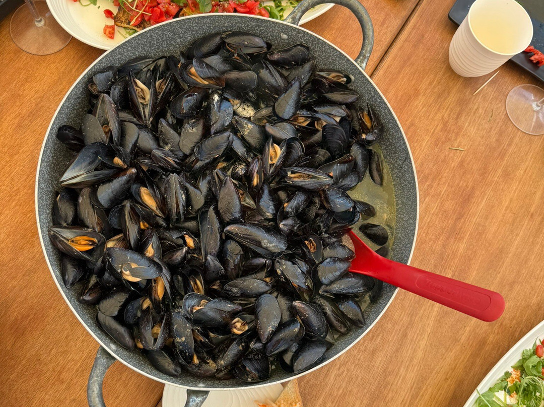 Albachiara Boat Escursioni e Aperitivi in barca-维耶斯泰必去景点