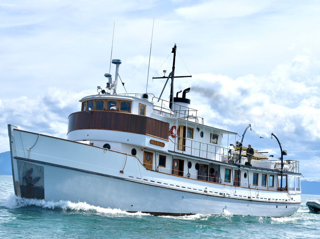 Sea Wolf Adventures-古斯塔夫斯必去景点