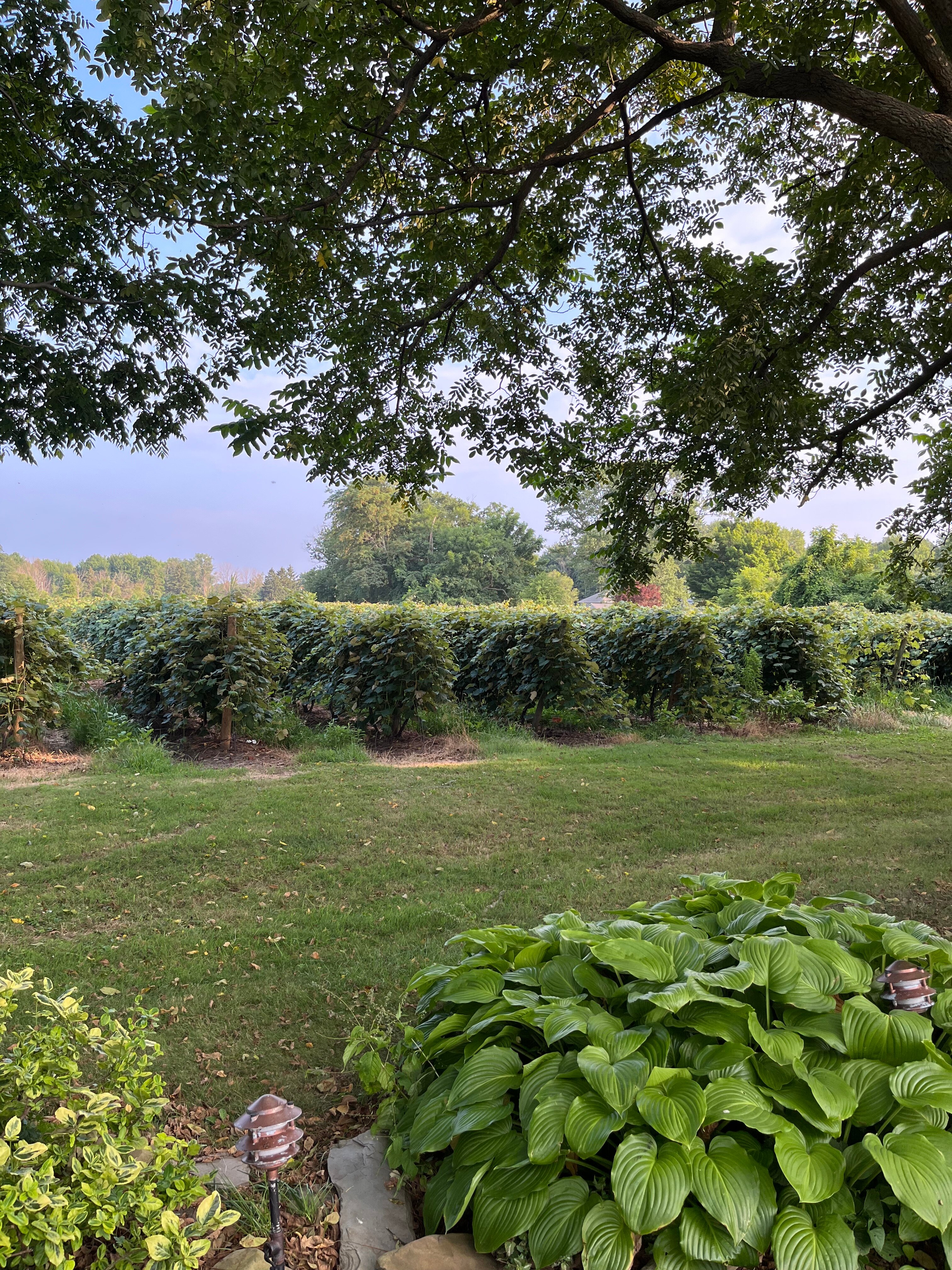 Barcelona Lakeside Bed and Breakfast-浴室