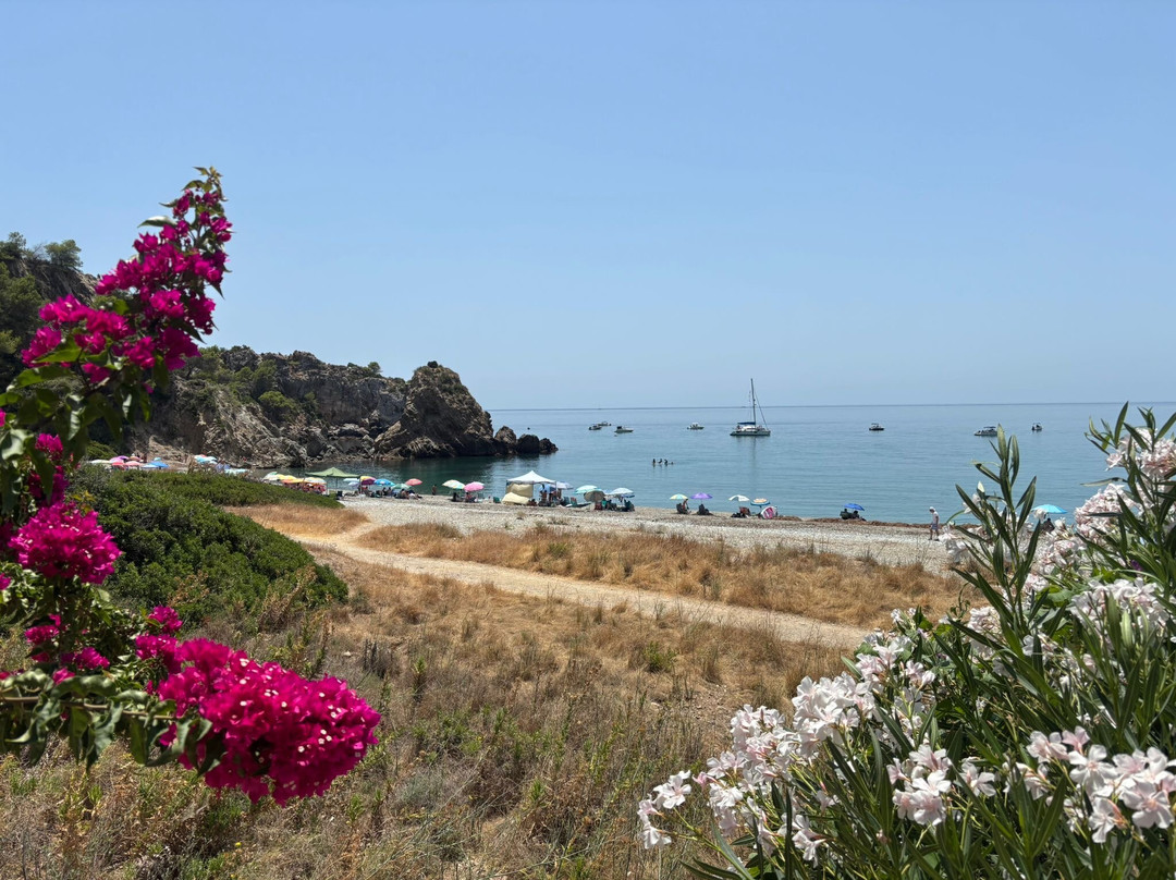 Playa Del Cañuelo-内尔哈必去景点