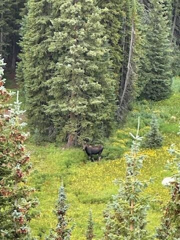 Grand Adventures-冬季公园必去景点