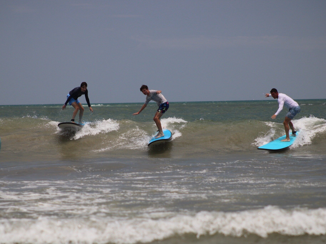 Tamarindo Surf Academy-塔马林多必去景点