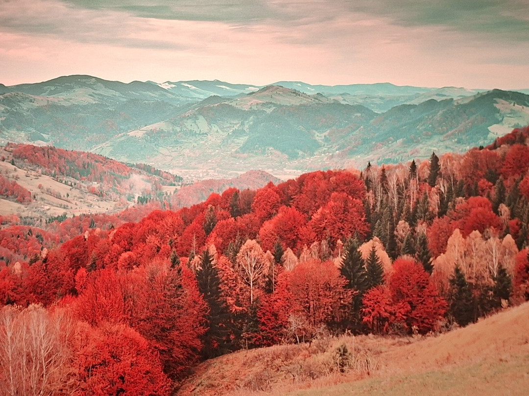 Museum of illusions Florence-佛罗伦萨必去景点