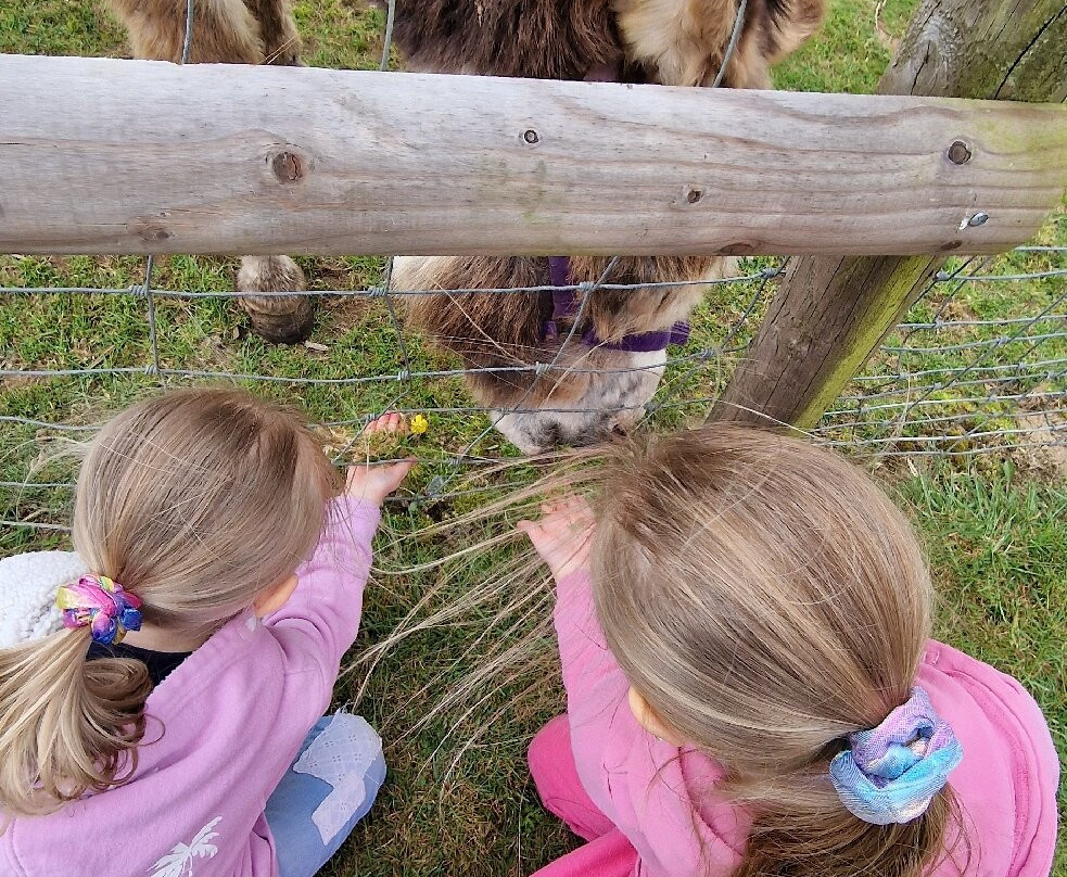 Clerkenhill Adventure Farm and Frizbee Golf Course-哈弗福韦斯特必去景点