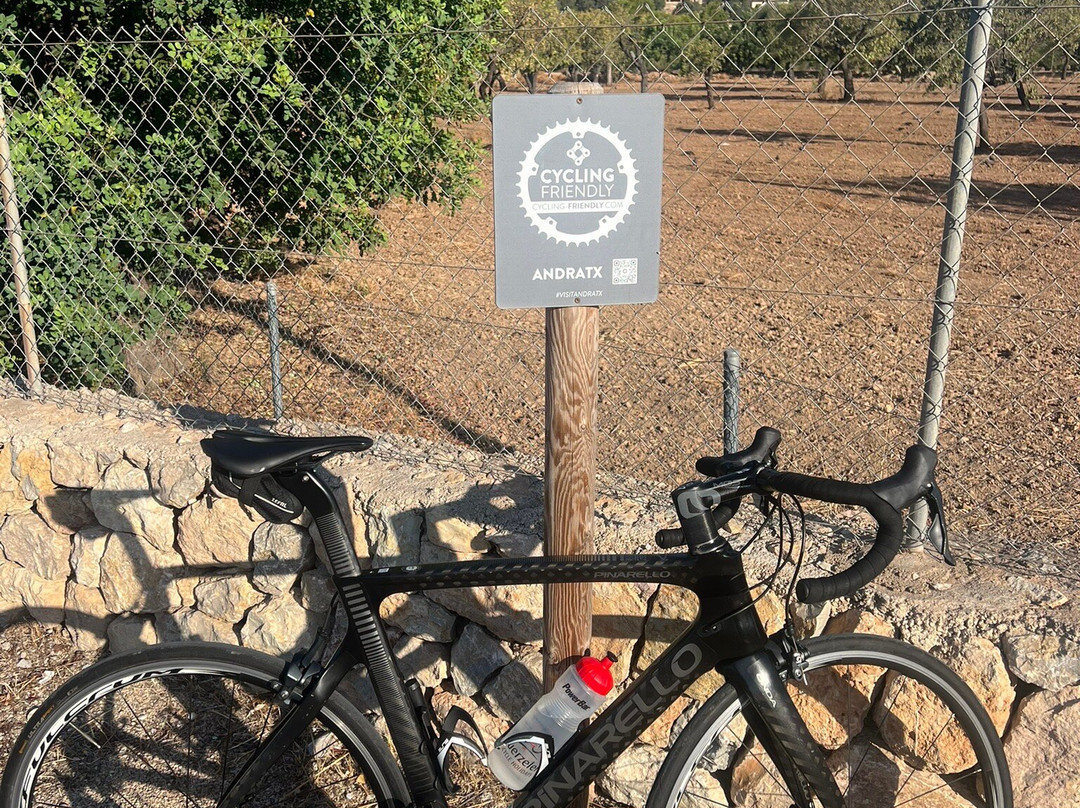 Why Not Cycling-Palmanova必去景点