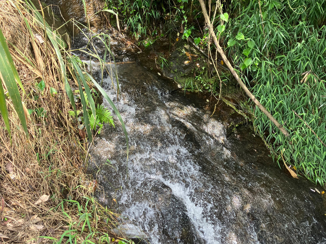 Nipuna Knuckles Trekking-康提必去景点