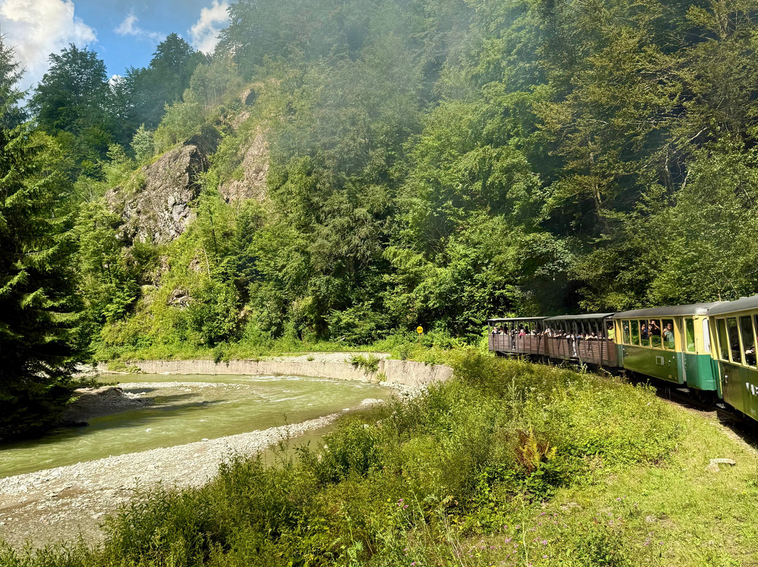 Mocanita Maramures - Viseu De Sus-Viseu de Sus必去景点