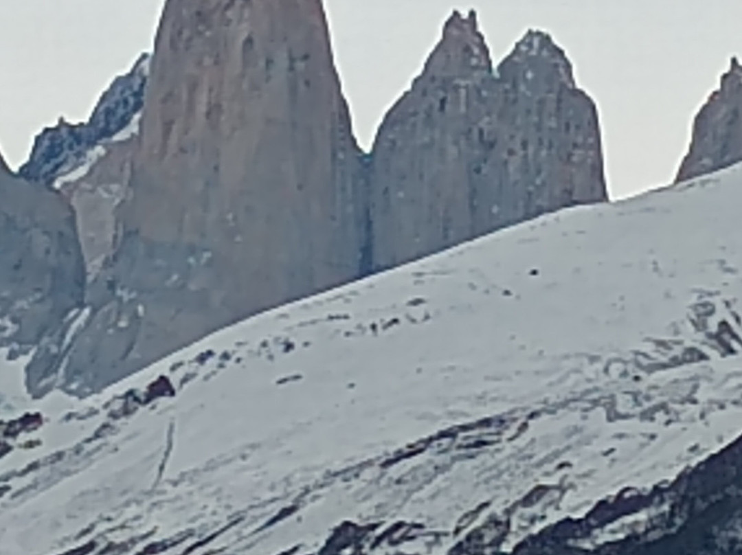 W Circuit Patagonia-纳塔莱斯港必去景点