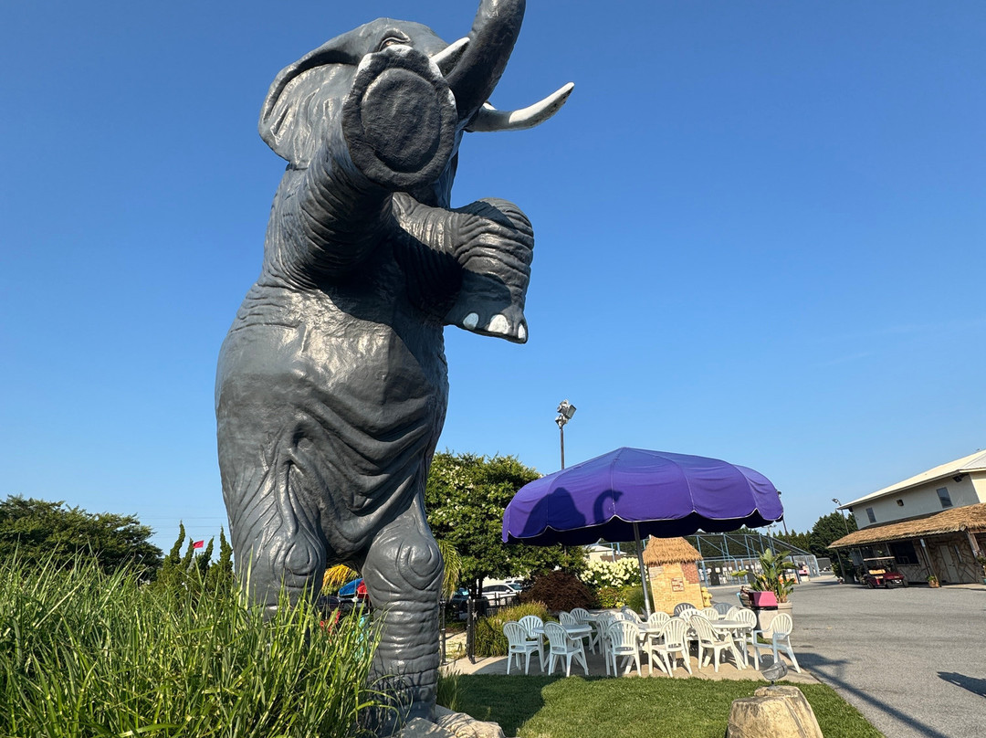 Jungle Jim's-里霍博斯比奇必去景点