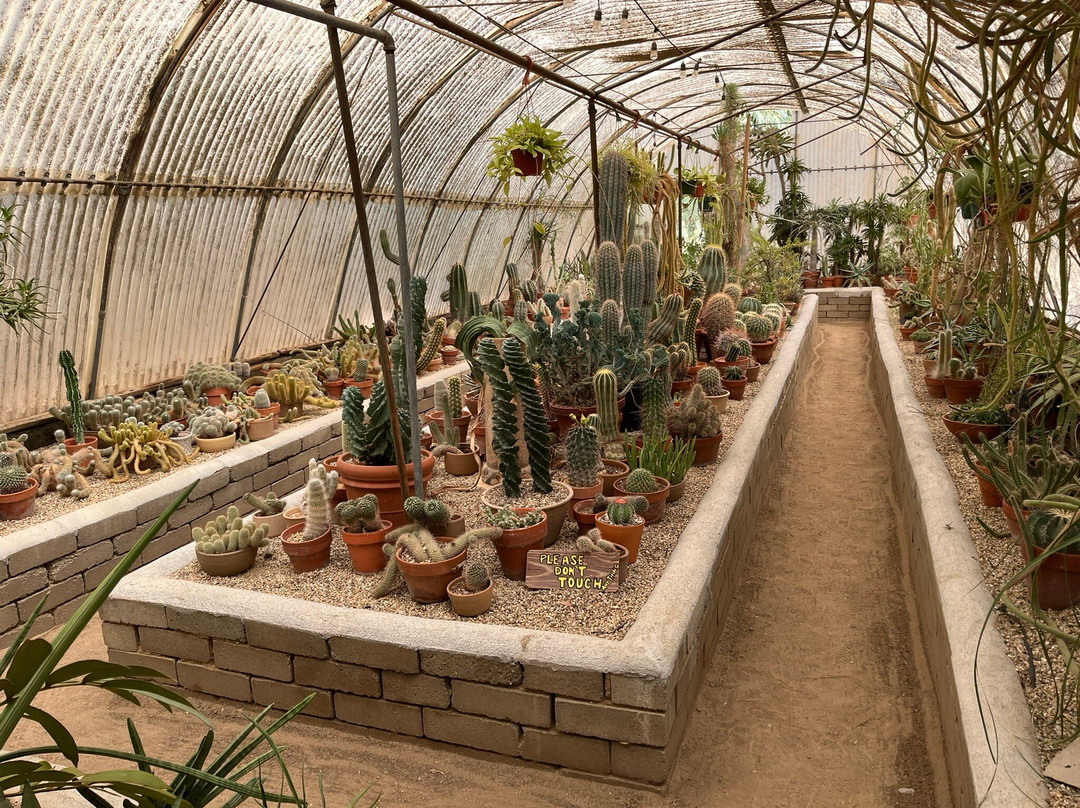 摩登热带植物园-棕榈泉市必去景点