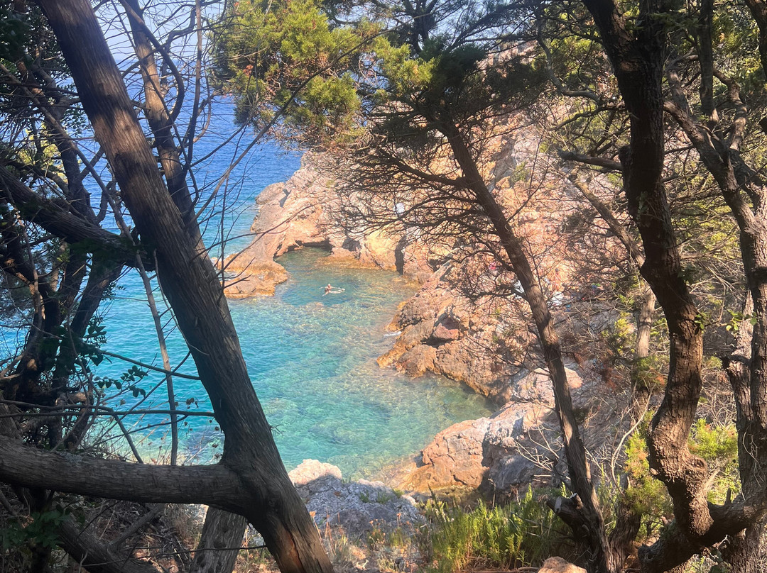 Cala La Cacciarella-圣托斯特凡诺港必去景点