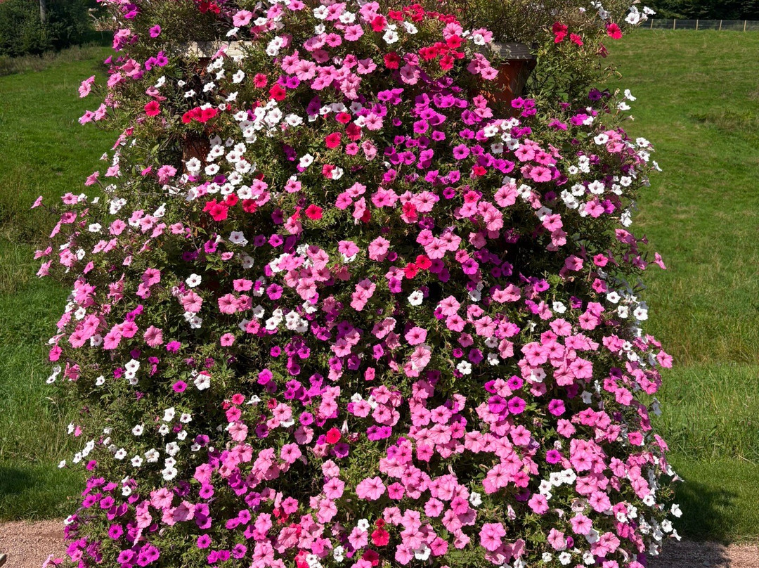 Gartenschau Tal X