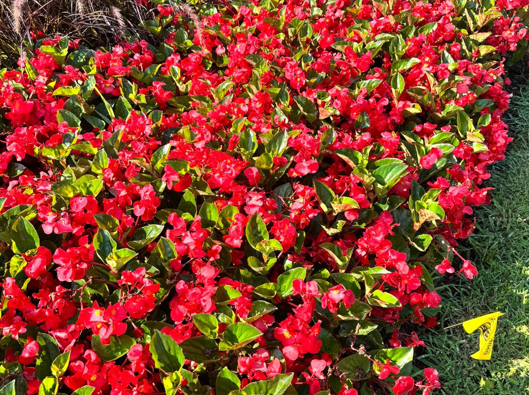 彻丽溪购物中心-丹佛必去景点