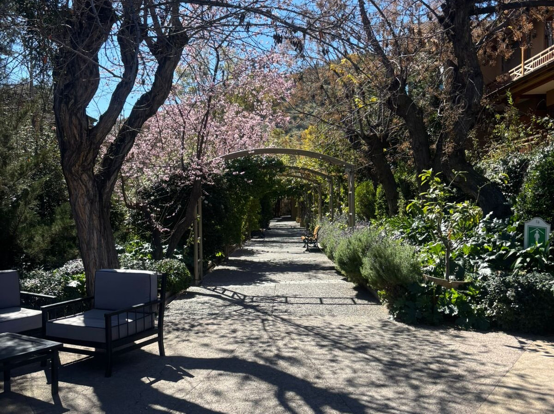 Termas de Jahuel Hotel & Spa主图