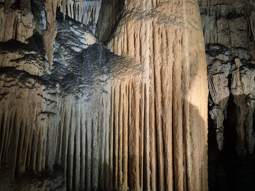 Modrič Cave-Rovanjska必去景点